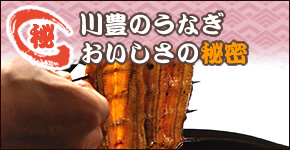 ��L�̂��Ȃ����������̔閧